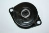 AUTOMEGA 309030315028R Tensioner Lever, v-ribbed belt
